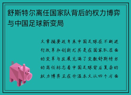 舒斯特尔离任国家队背后的权力博弈与中国足球新变局