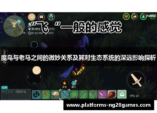 魔鸟与老马之间的微妙关系及其对生态系统的深远影响探析 魔鸟与老马之间的微妙关系及其对生态系统的深远影响探析