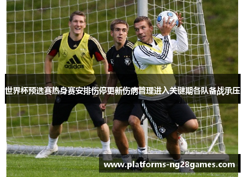世界杯预选赛热身赛安排伤停更新伤病管理进入关键期各队备战承压